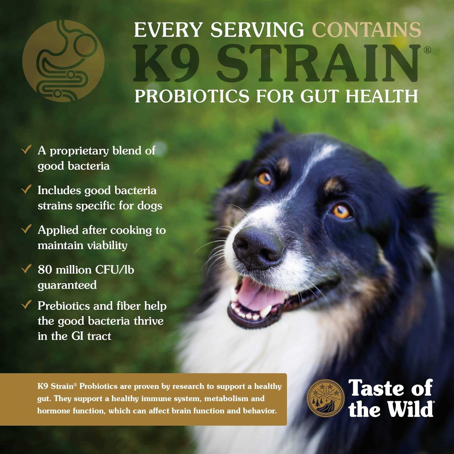 Taste of the Wild Ancient Stream with Smoked Salmon Dog Food - Pet Supplies online store