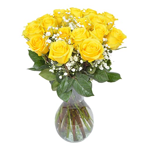 18 Yellow Roses + Baby's Breath Fresh Flower Bouquet with Vase | Arabella Bouquets | Flowers for Delivery, Graduation, Birthday, Congratulations