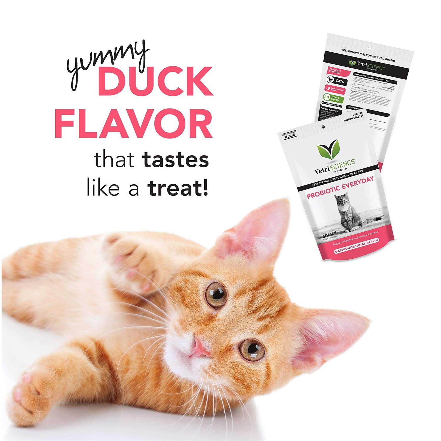 VetriScience Probiotic Everyday for Cats - Pet Supplies online store