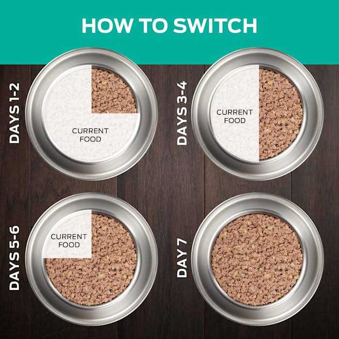 Purina Pro Plan Veterinary Diets EN Gastroenteric Formula Canned Dog Food - Pet Supplies online store