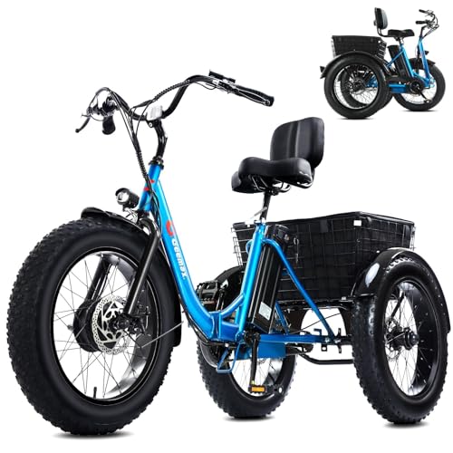 Electric Tricycle for Adults, 20