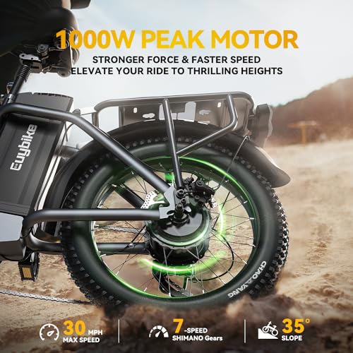 Folding Electric Bike for Adults, 1000W Motor(1500W Peak),30MPH, 60Mile,48V 20AH Battery,20