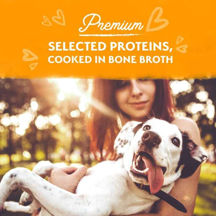 Natural Balance Limited Ingredient Stew Wet Dog Food - Pet Supplies online store