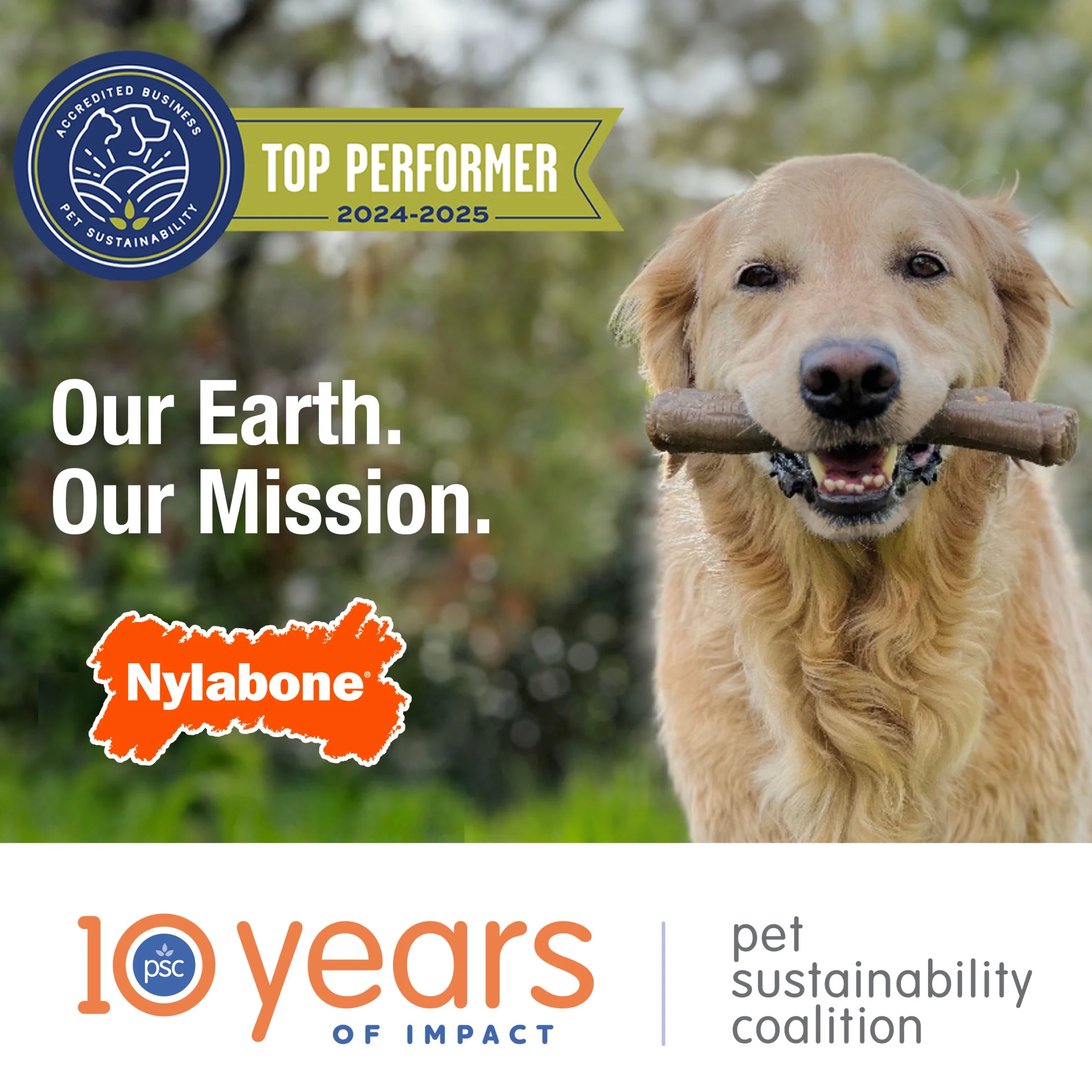 Nylabone Strong Chew Real Wood Stick Dog Toy X-Large (1 Count)