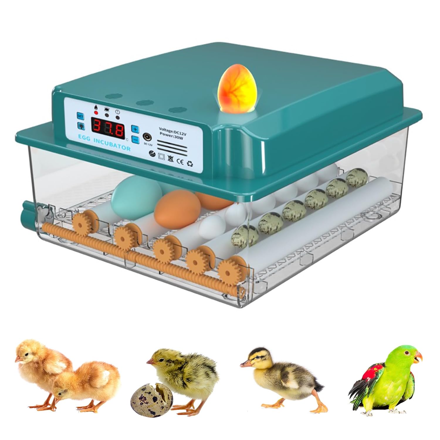 Ownsig Eggs Incubator with Automatic Egg Turning, Temperature Humidity Control, 16 Eggs Hatching Incubator with LED Candler, Adjustable Egg Tray, Incubators for Hatching Chickens, Pigeons, Quails