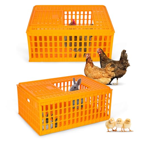lukar 2PCS Poultry Carrier Crate Plastic Chicken Transport Crate Cage Heavy Duty Chicken Carrier Crates Transport Box for 10-13 Adult Chickens Duck Goose Birds, 29.5 x 21.7 x 13 Inch