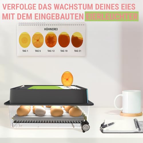 OBI-12 Egg Incubator for Hatching Chickens, Ducks & Other Birds + New 2024 + Automatic Egg Turner + Temperature Control + Humidity Display + Integrated Egg Candler + 5 Year Warranty