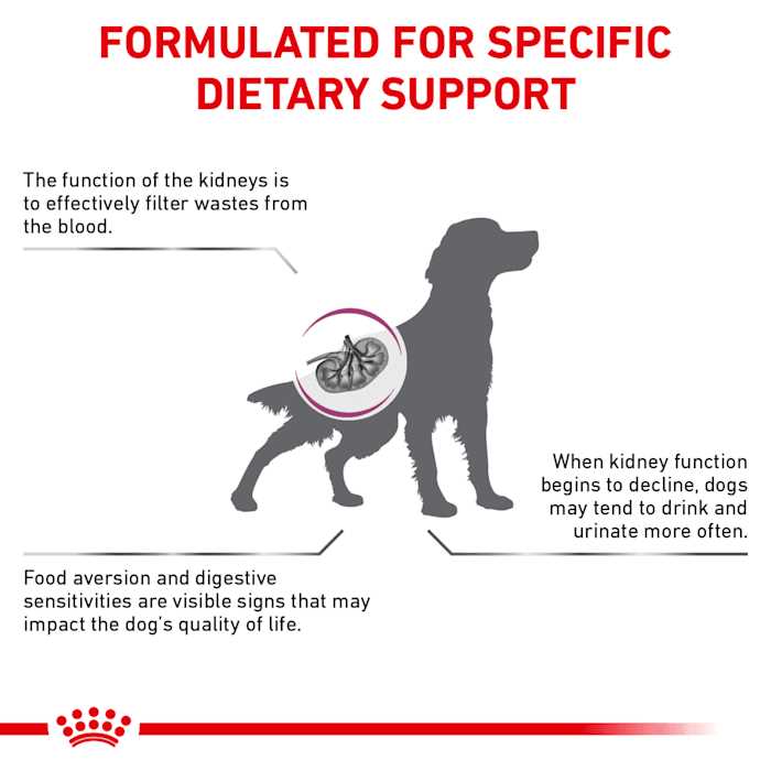 Royal Canin Veterinary Diet Renal Support Dry Dog Food - Pet Supplies online store