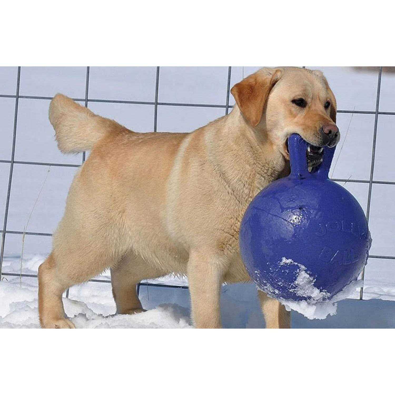 Jolly Pets Tug N Toss Ball - Pet Supplies online store