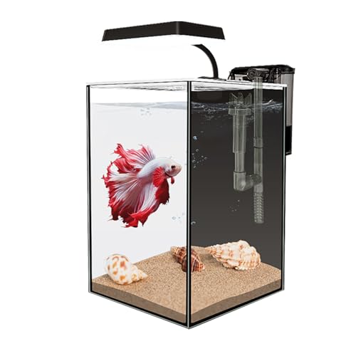 Glass Betta Aquarium Starter Kits 1.5 Gallon Small Fish Tank, Betta Fish Tank with LED Light, Power Filter, Black. 4mm Glass