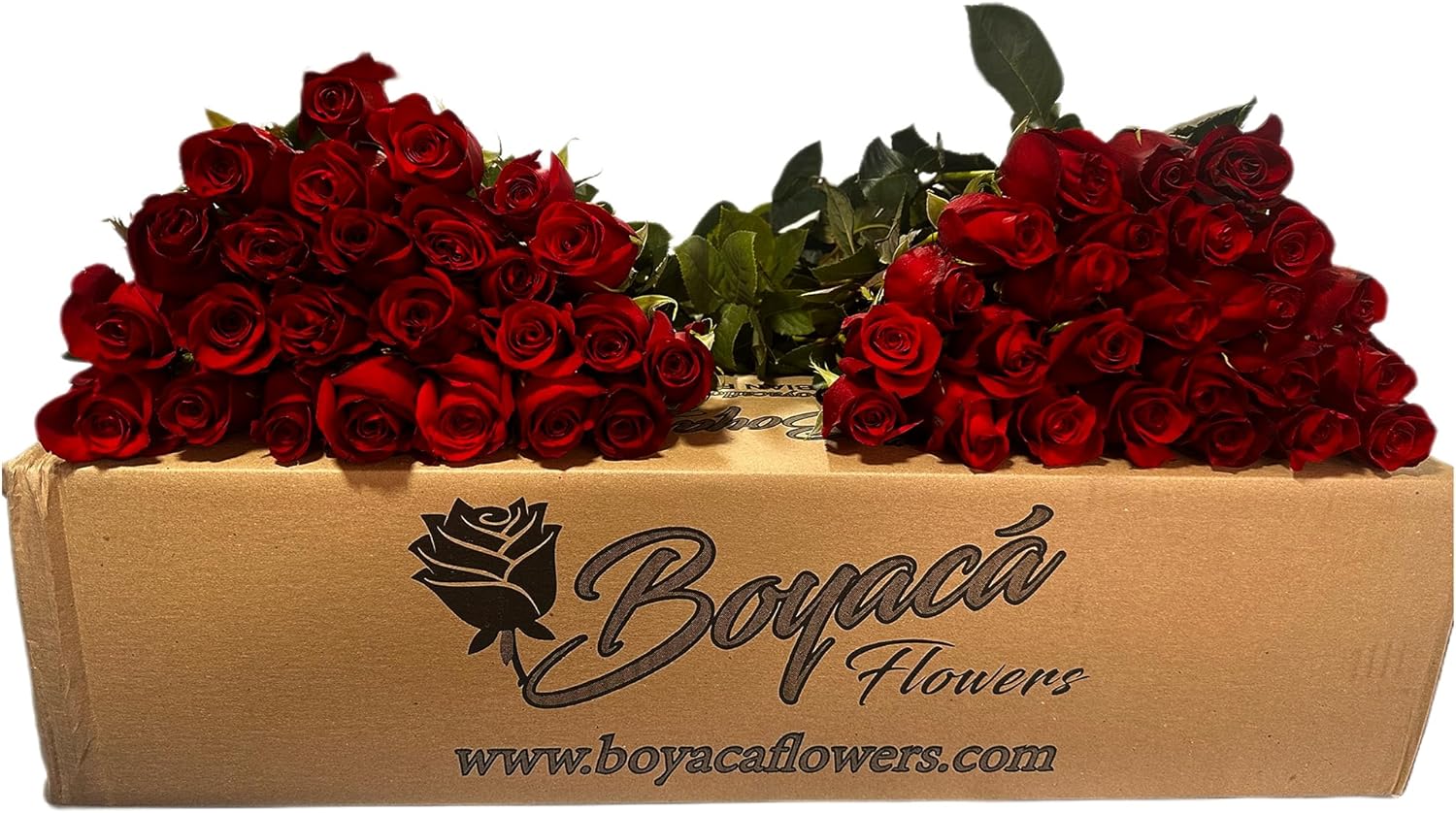 50 fresh roses, long stem 19.7