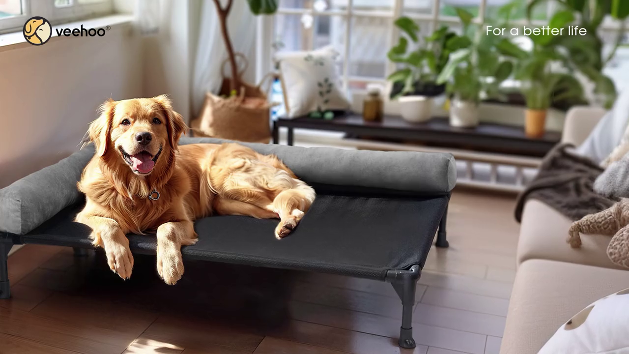 Veehoo Elevated Dog Bed, Outdoor Raised Dog Bed for Extra Large Dogs, Cooling Portable Dog Cot Bed with Removable Bolster, Dog Hammock Bed with Washable Teslin Mesh & No-Slip Feet, X-Large, Black
