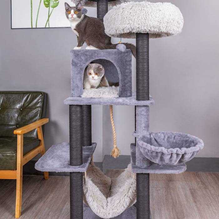 Catry Cat Tree - Pet Supplies online store