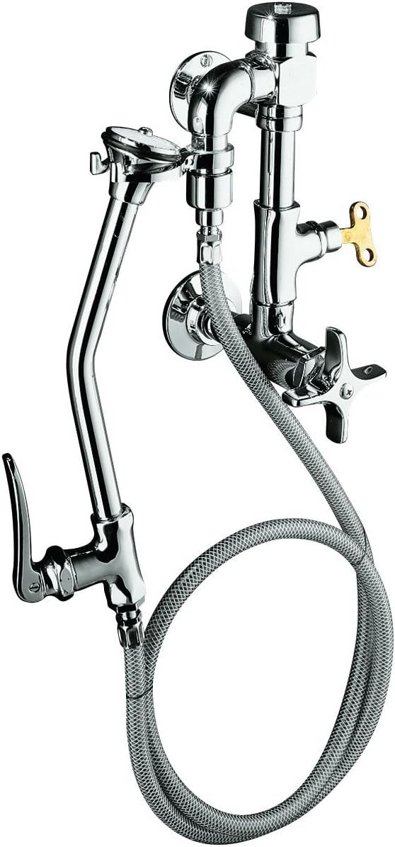 KOHLER K-13925-CP Bedpan Washer, Polished Chrome