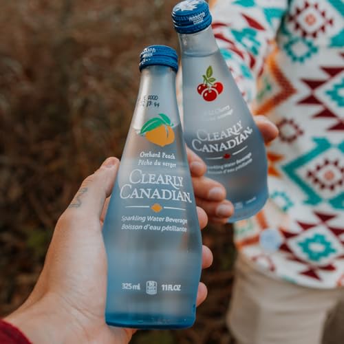 Clearly Canadian Mountain Blackberry Sparkling Water, 11 Fl Oz