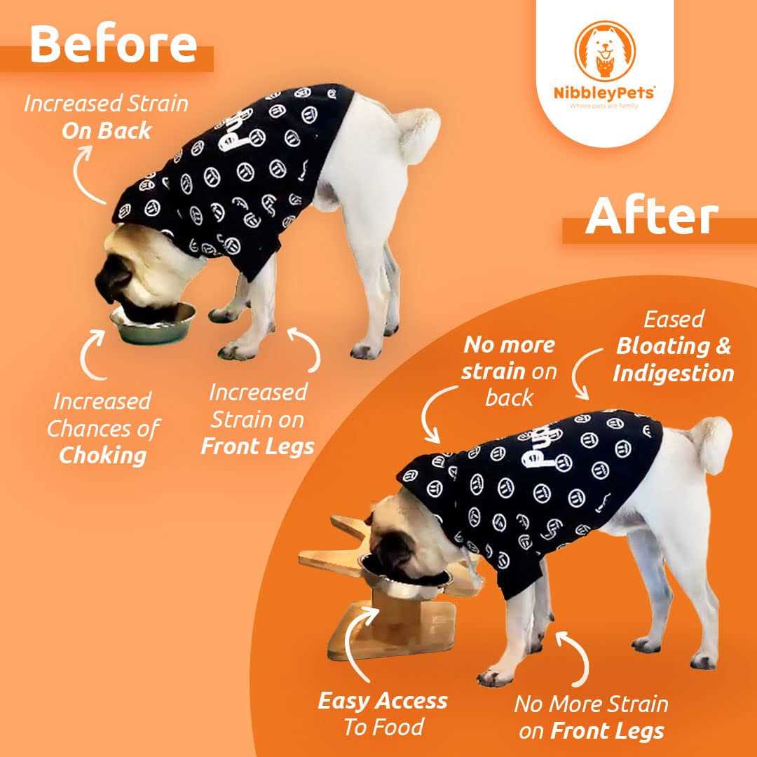 Nibbleypets Elevated Dog Bowl Stand with Stainless-Steel Food and Water Bowls - Pet Supplies online store