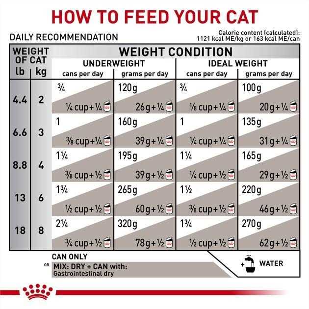 Royal Canin Veterinary Diet Adult Gastrointestinal Loaf in Sauce Canned Cat Food - Pet Supplies online store