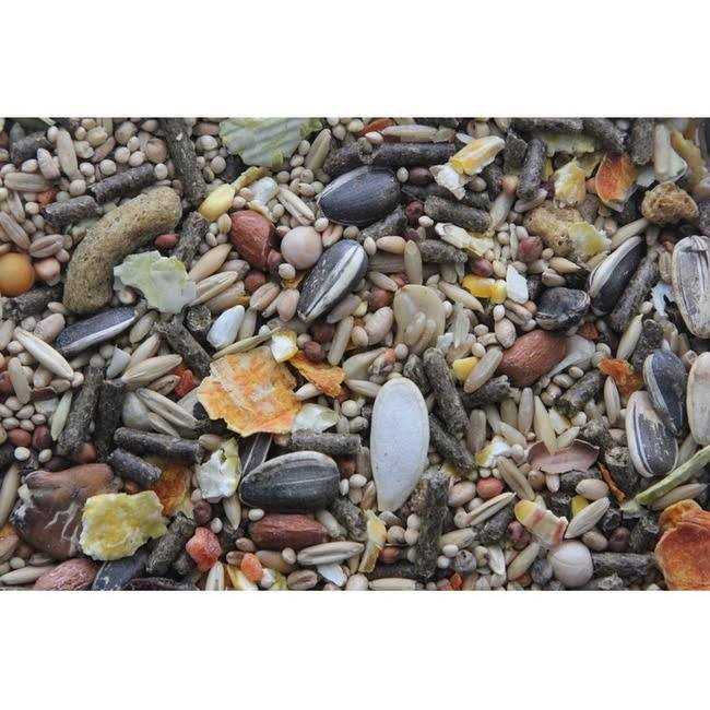 Higgins Sunburst Gourmet Blend Gerbil & Hamster Food - Pet Supplies online store