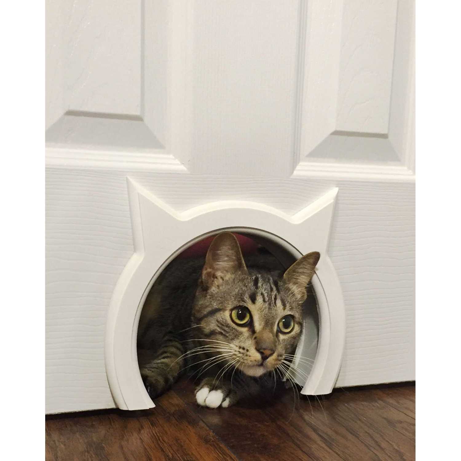 The Kitty Pass Interior Cat Door Hidden Litter Box Pet Door for Cats up to 21 lbs Pet Box - Pet Supplies online store