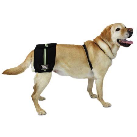 Hip-EEZ Dog Brace and Support System (Size: Medium)