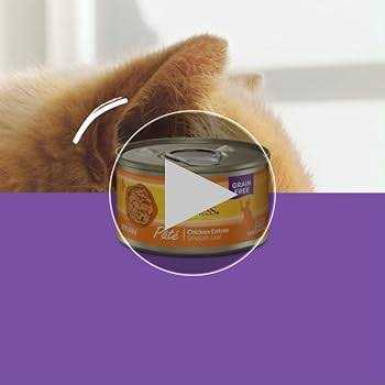 Wellness Complete Health Seafood Pate Favorites Variety Pack Wet Adult Cat Food - Pet Supplies online store