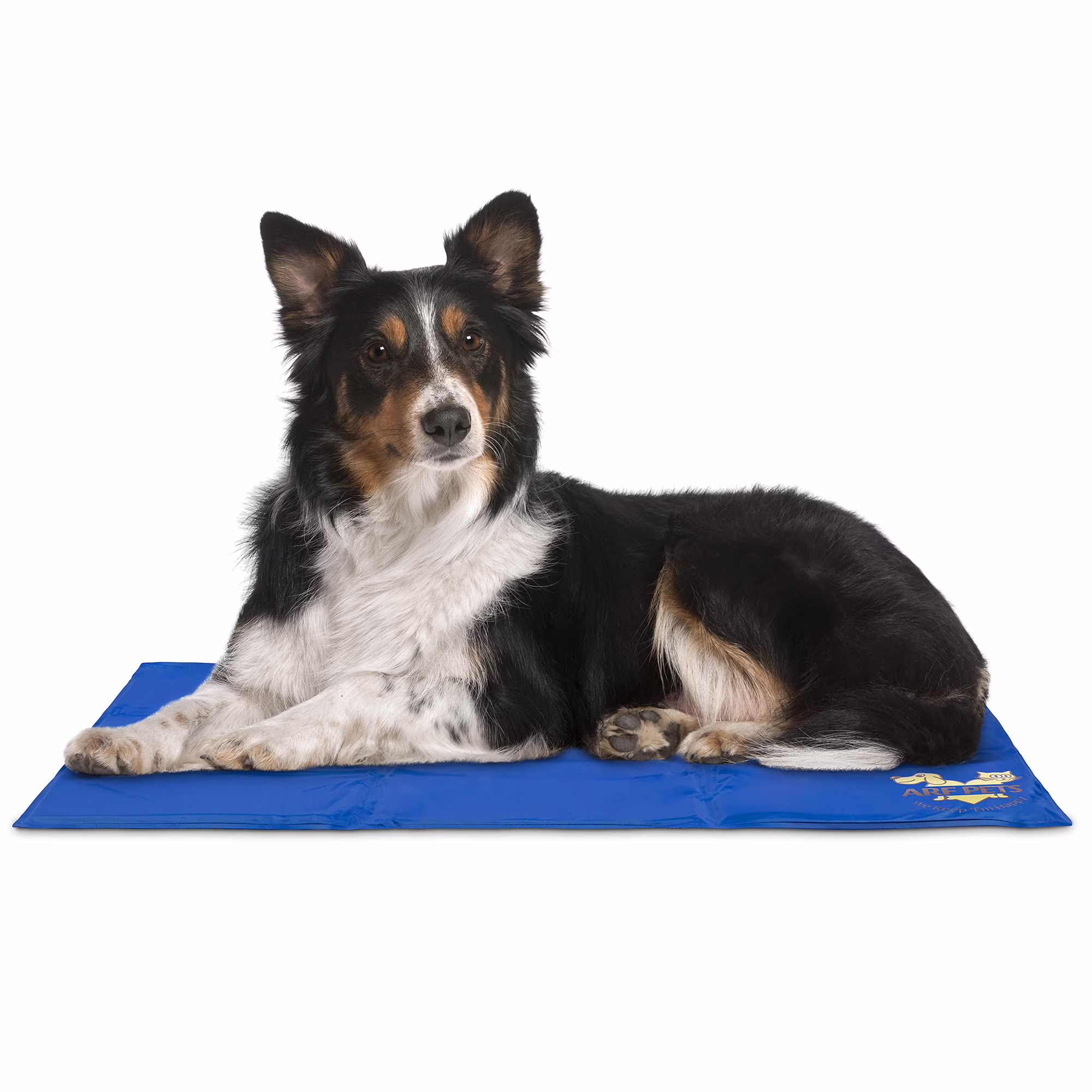 Arf Pets Small Cooling Mat for Dogs, Cats and Rabbits, Blue Cooling Gel Pet Bed