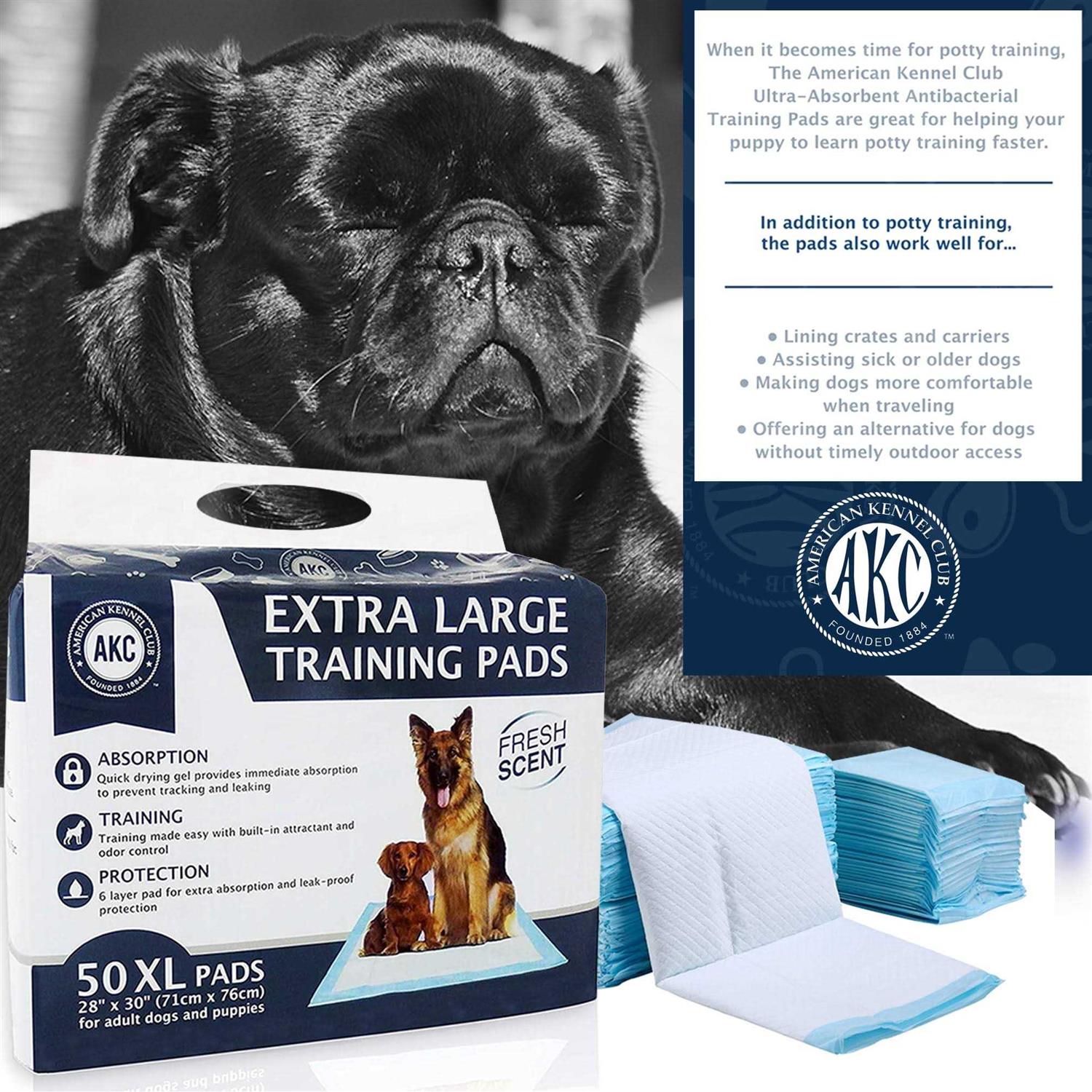 American Kennel Club Training Pads - Pet Supplies online store