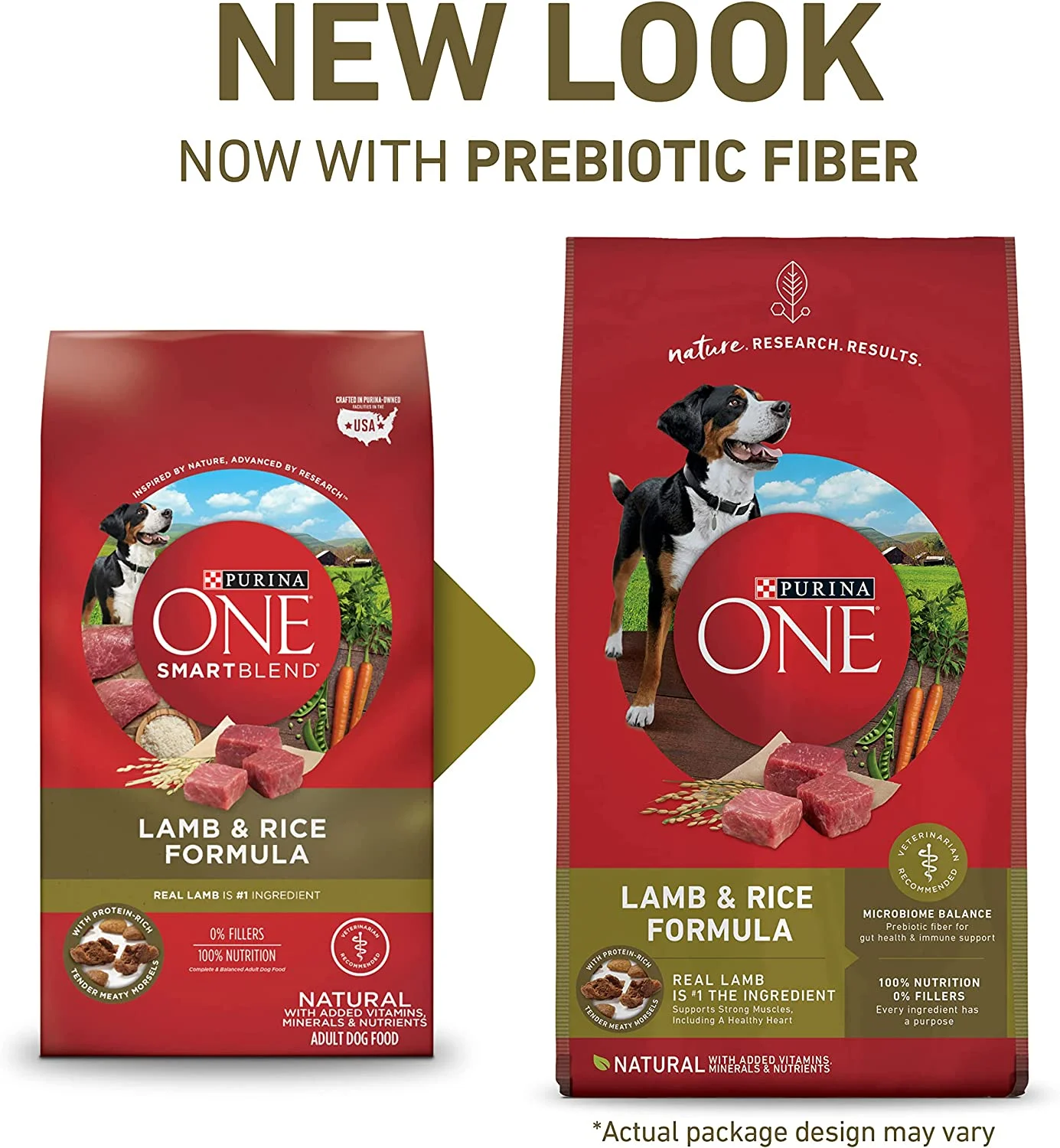 Purina ONE SmartBlend Natural Adult Lamb & Rice Dry Dog Food