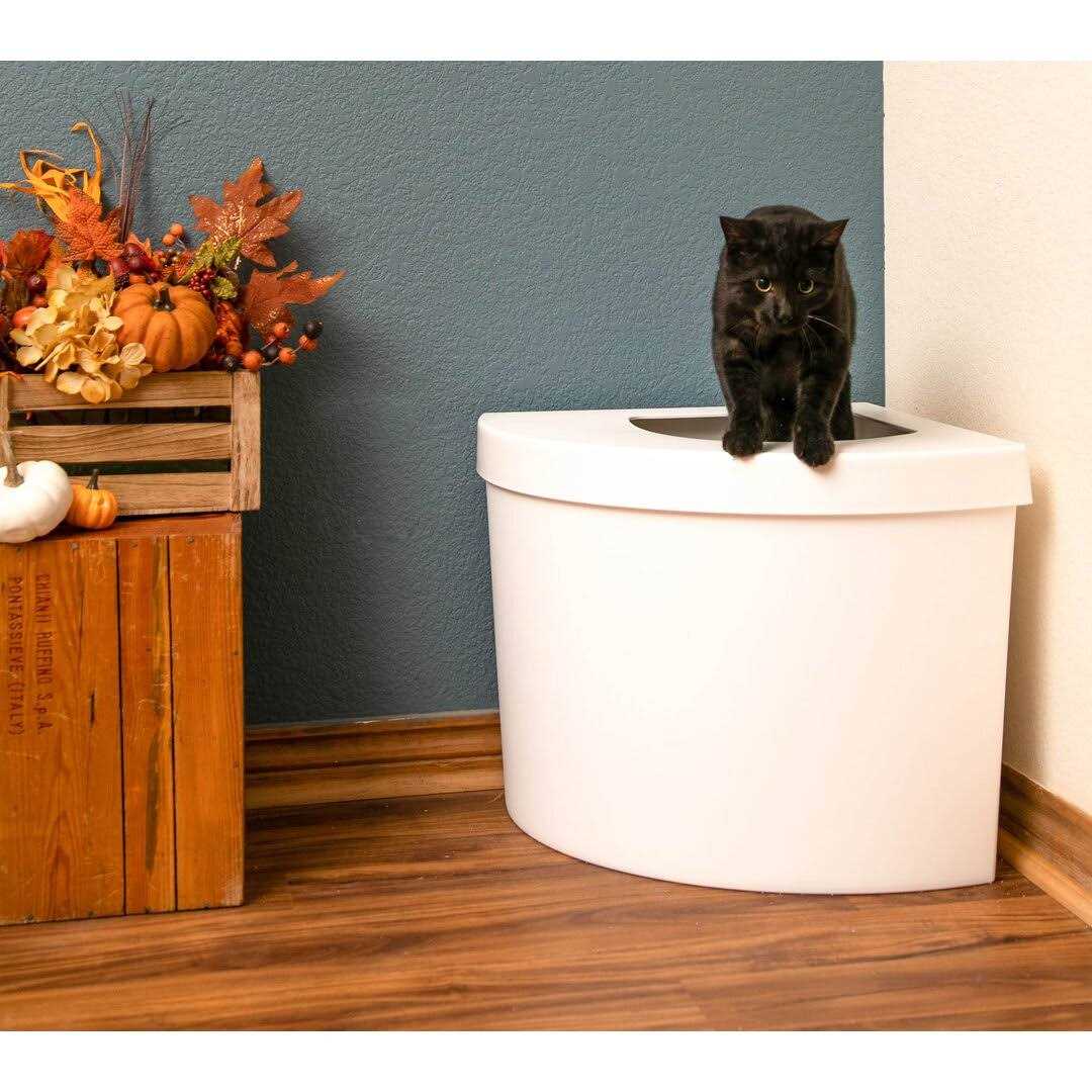 Standard Litter Box Kitangle - Pet Supplies online store