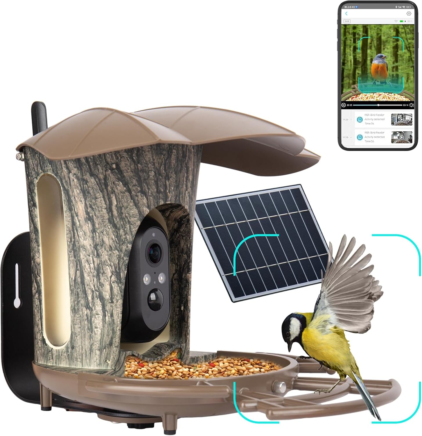 LOEZ Smart Bird Feeder with Camera, AI Identification, Solar Powered, 2.4GHz Wifi Connected, Motion Activated, Auto Caputure, 1080P HD Color, 180° Full Night Vision, Bird Watching Live