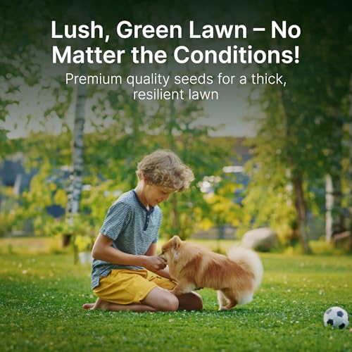 Sun and Shade Tall Fescue Grass Seed Mix, Drought Resistant, Thick Lawn, Fast Germination