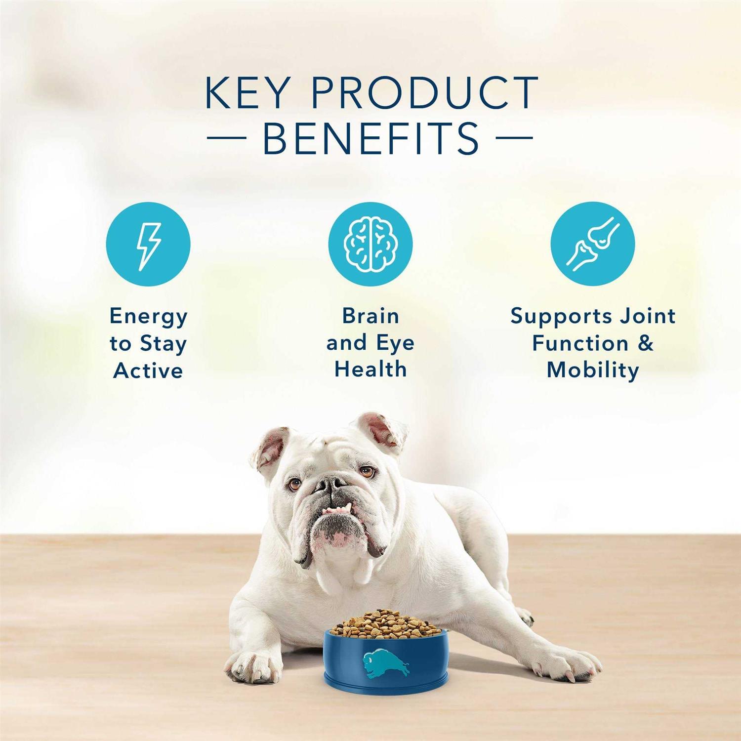 Blue Buffalo Blue Basics Skin & Stomach Care Natural Turkey & Potato Senior Dry Dog Food - Pet Supplies online store