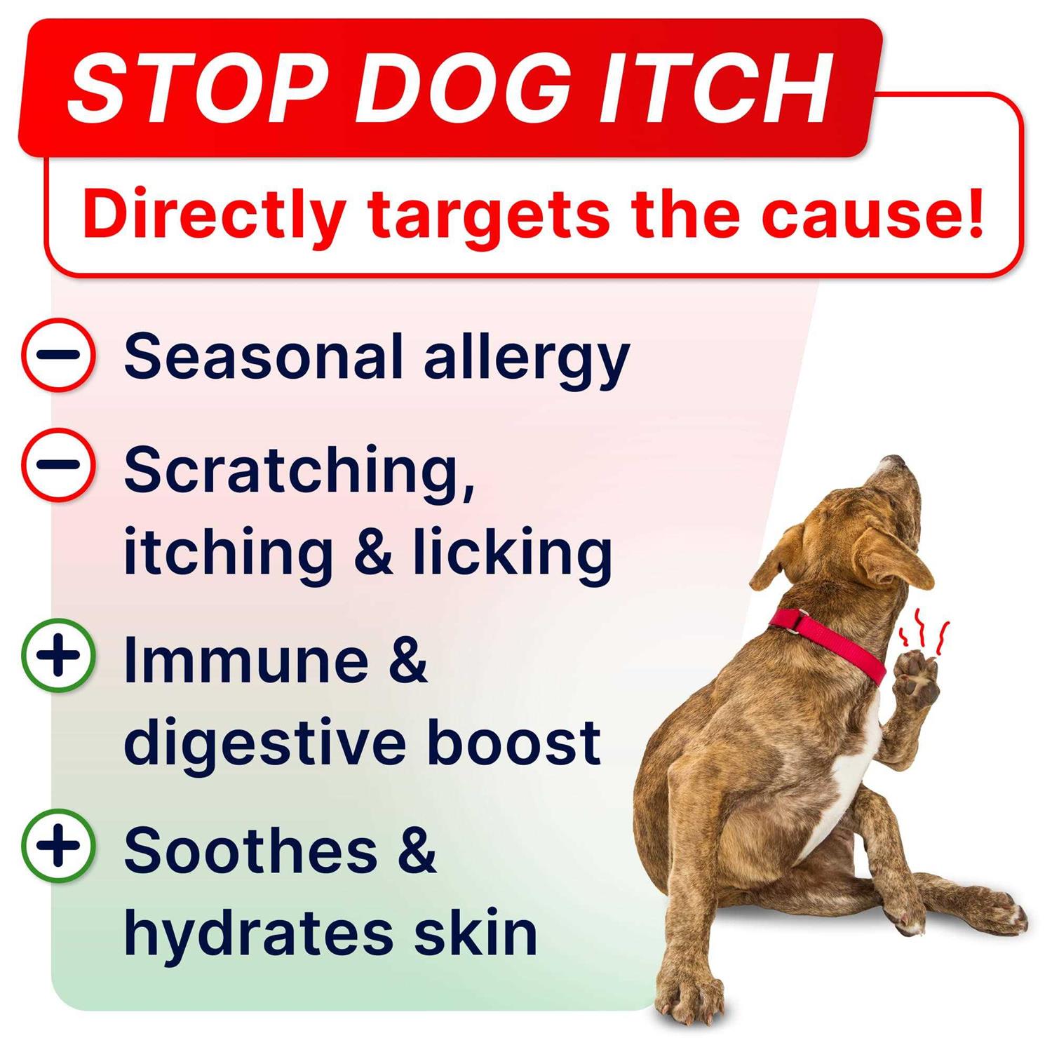 StrellaLab Allergy Relief - Pet Supplies online store