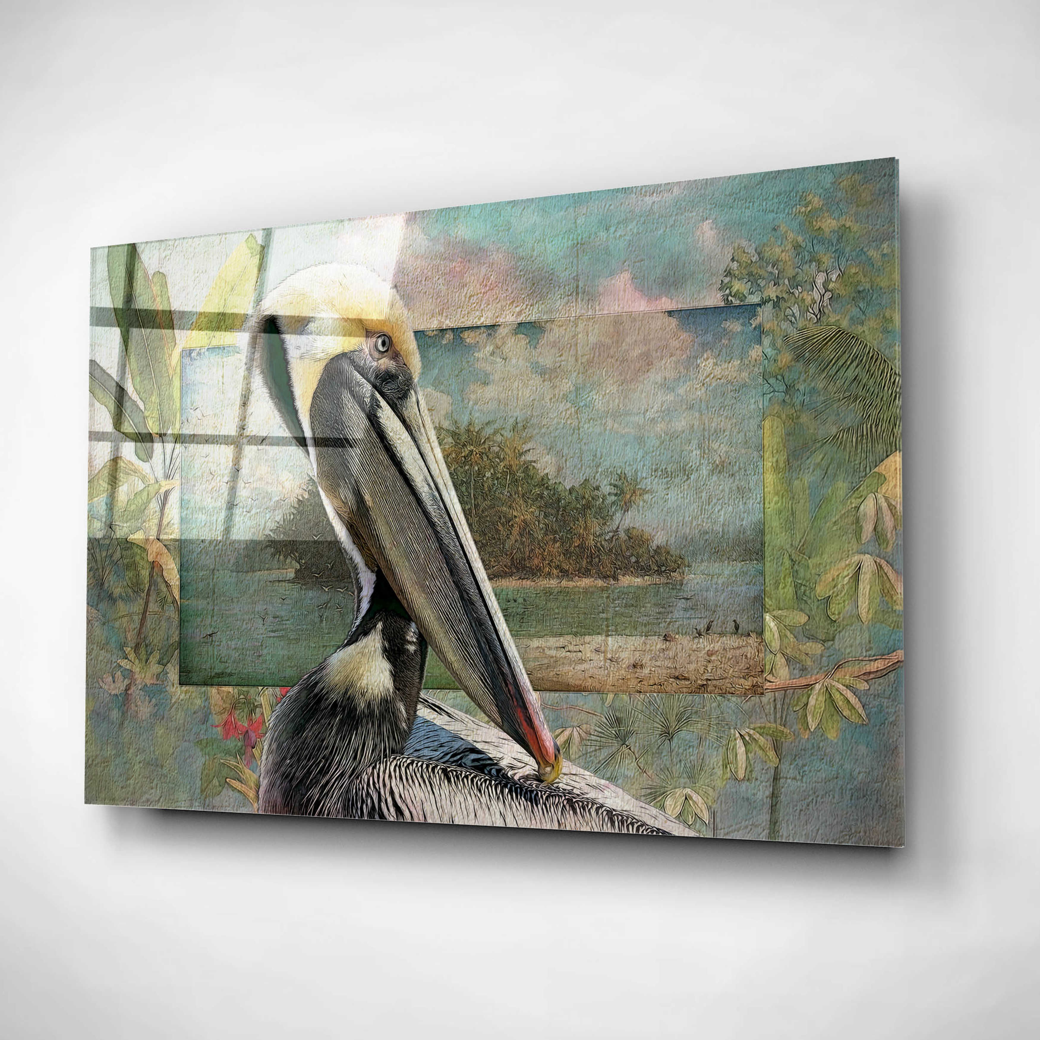 Epic Art 'Pelican Paradise II' by Steve Hunziker, Acrylic Glass Wall Art, 16