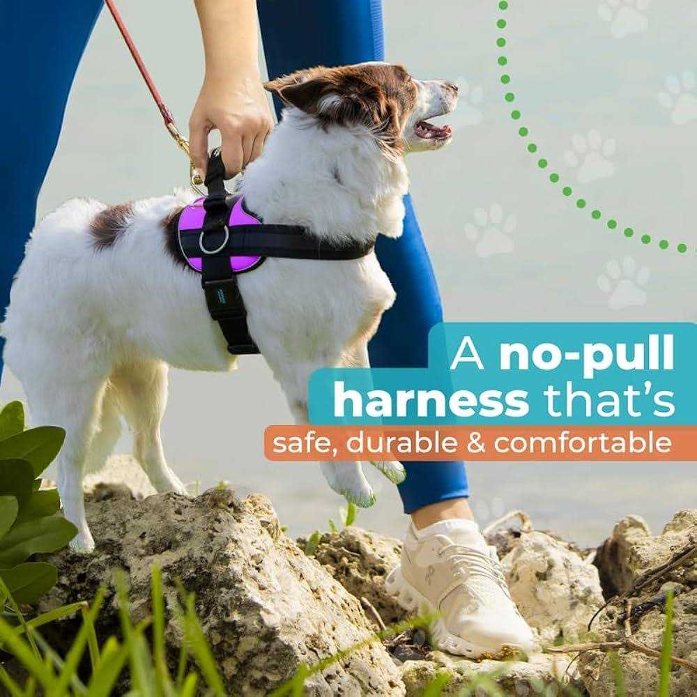 Joyride Harness No Pull Easy On-Off Dog Harness - Pet Supplies online store