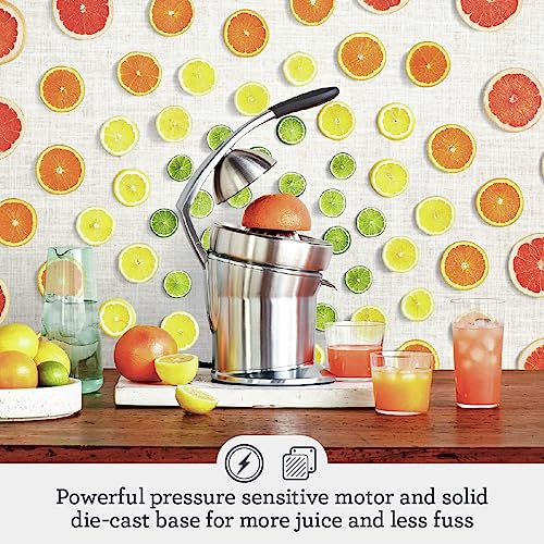 Breville Stainless Steel Citrus Press Pro Electric 110 Watts Stainless Steel Corded Electric juicer