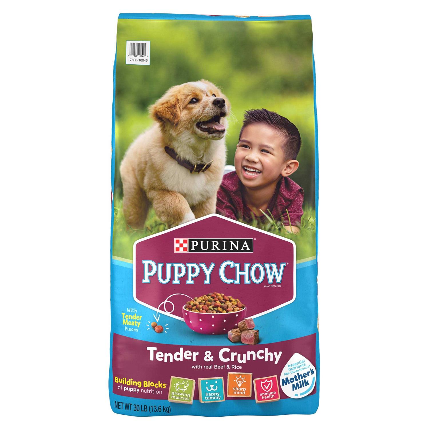 Purina Puppy Chow Tender Crunchy Real Beef Dry Puppy Food - Pet Supplies online store