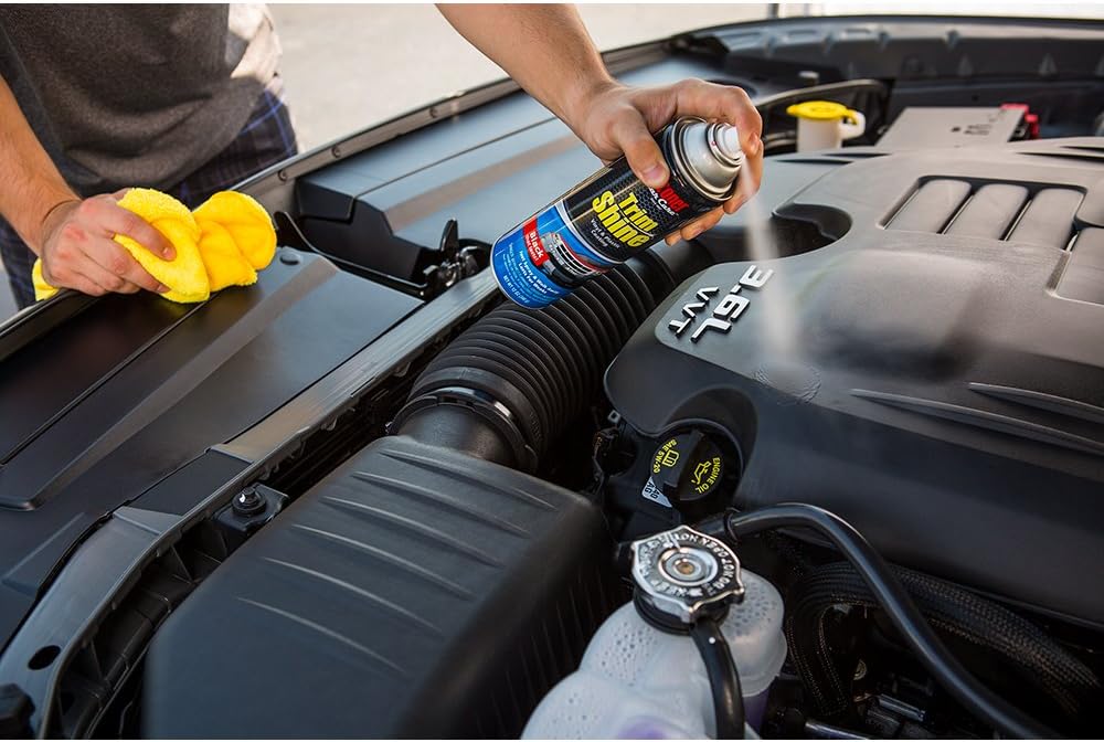 Stoner car Care 91034-12PK 12-Ounce Trim Shine Protectant Aerosol Restores Dull or Faded Interior and Exterior Plastic Renew Bumpers, Running Boards, and More, Pack of 12, clear Pack of 2