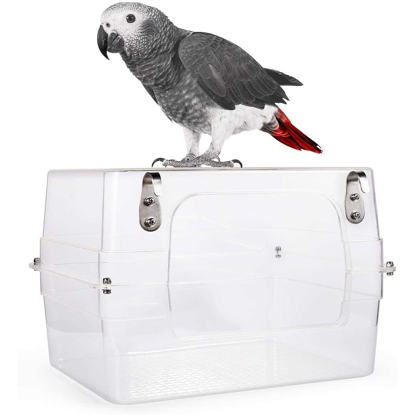 Colorday Large Bird Bath with Clear View - Pet Supplies online store