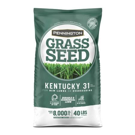 Kentucky 31, 40 lbs. Tall Fescue Penkoted Grass Seed