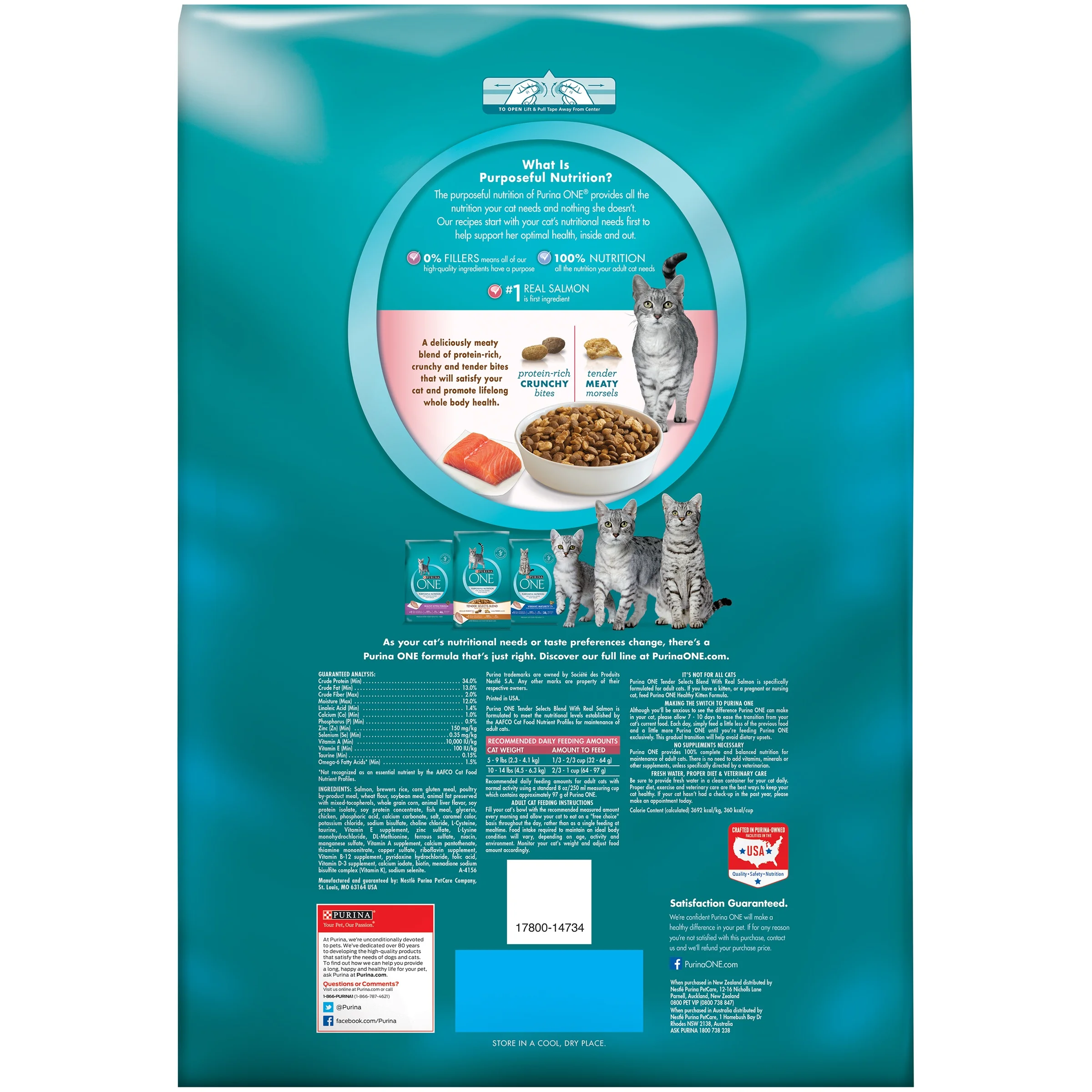 Purina ONE Tender Selects Blend with Real Salmon Cat Food 22 lb. Bag