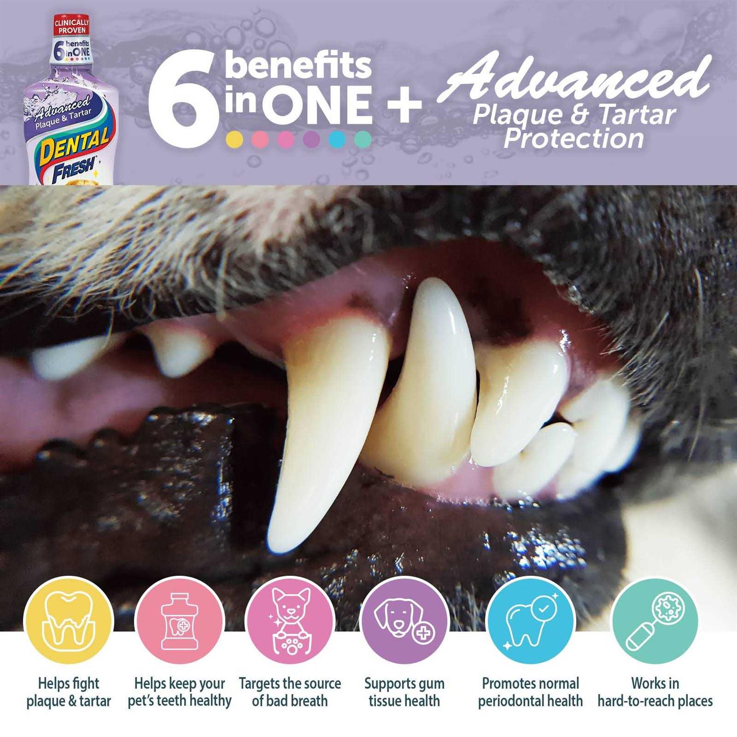 Dental Fresh Advanced Plaque and Tartar Water Additive for Dogs - Pet Supplies online store