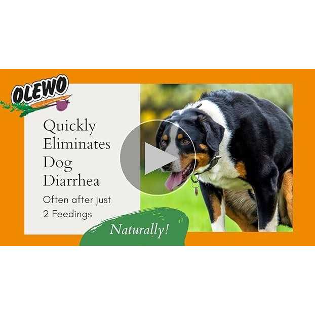 Olewo Original Carrots for Dogs Fiber for Dogs Keep Poop Firm - Pet Supplies online store
