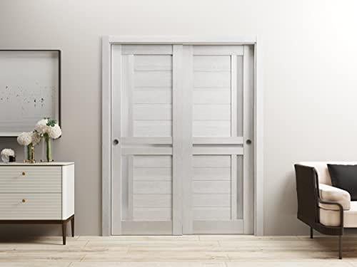 SARTODOORS Sliding Closet Bypass Doors 56 x 80 inches | Veregio 7288 White Silk with Frosted Glass | Sturdy Rails Moldings Trims Hardware Set | Wood Solid Bedroom Wardrobe Doors