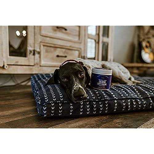 Natural Rapport The Only Calming Soft Chews Dogs Need - Pet Supplies online store