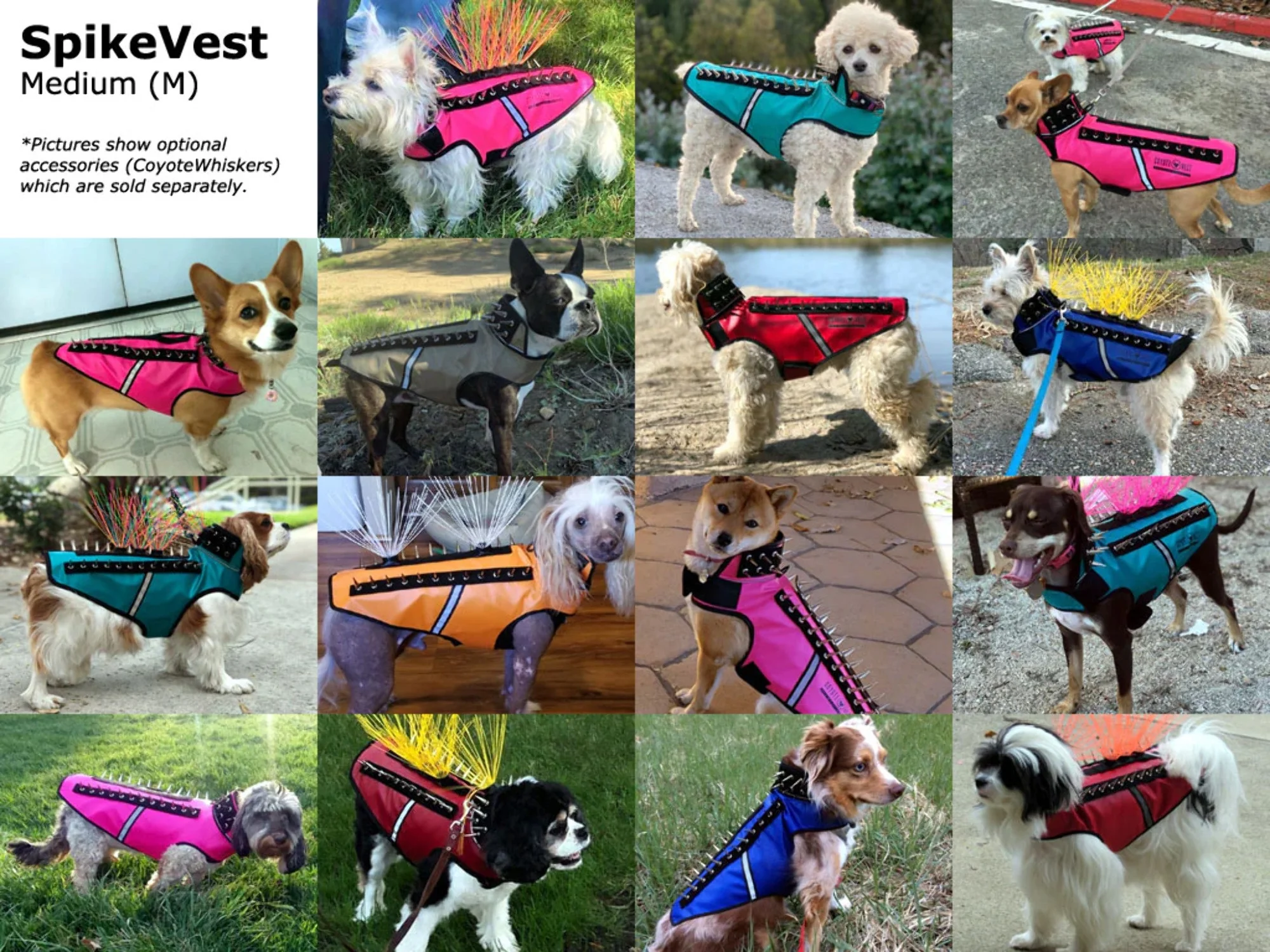 CoyoteVest SpikeVest Dog Harness Vest, Reflective Dog Accessories with Spikes to Shield Your Pet from Raptor and Animal Attacks- Proudly Made in America XX-Small