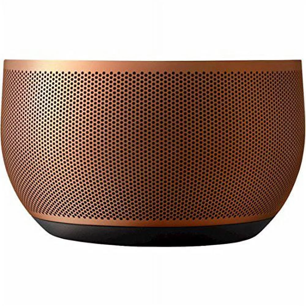 GOOGLE INC - GOOGLE HOME BASE - COPPER