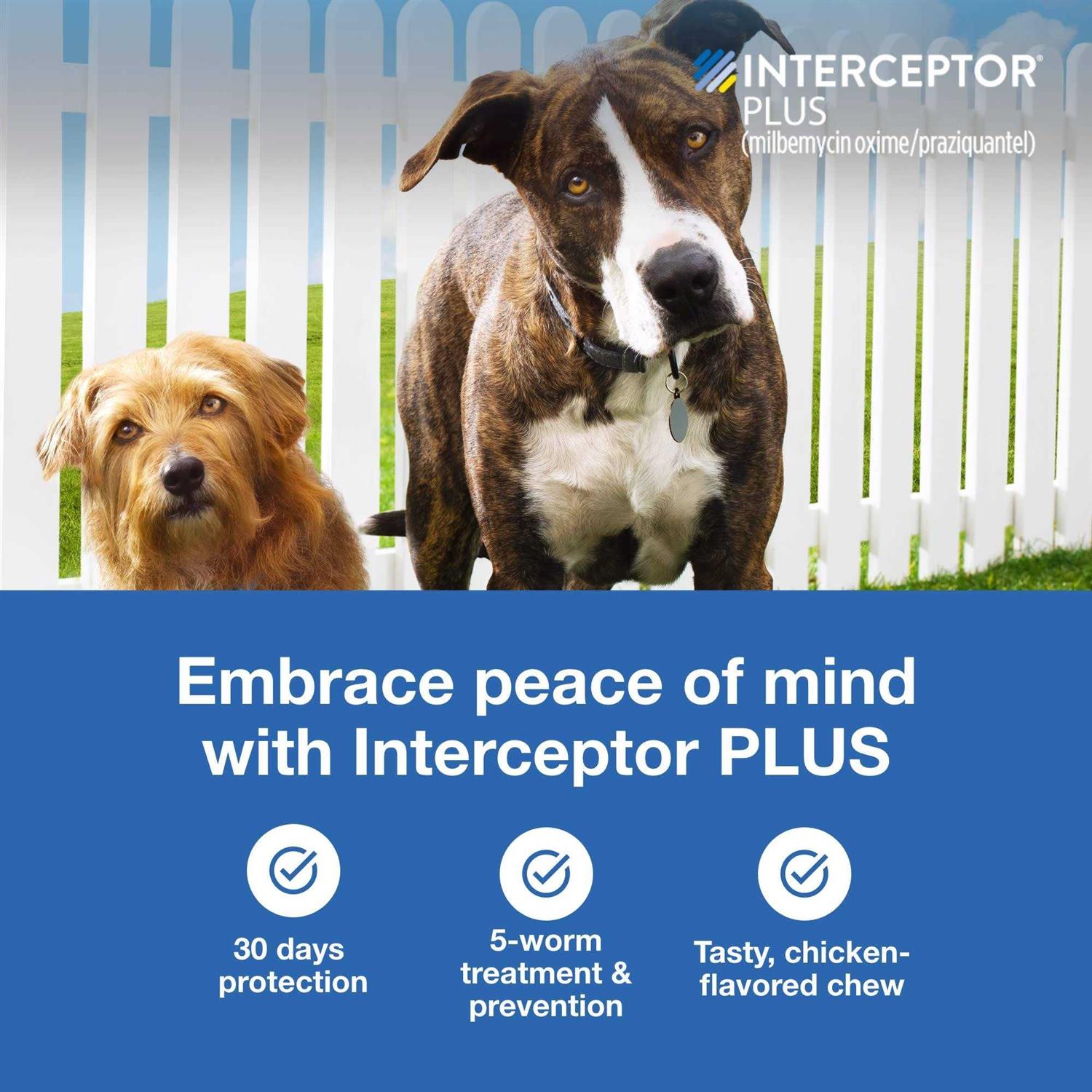 Interceptor Plus Chewable for Dogs - Pet Supplies online store