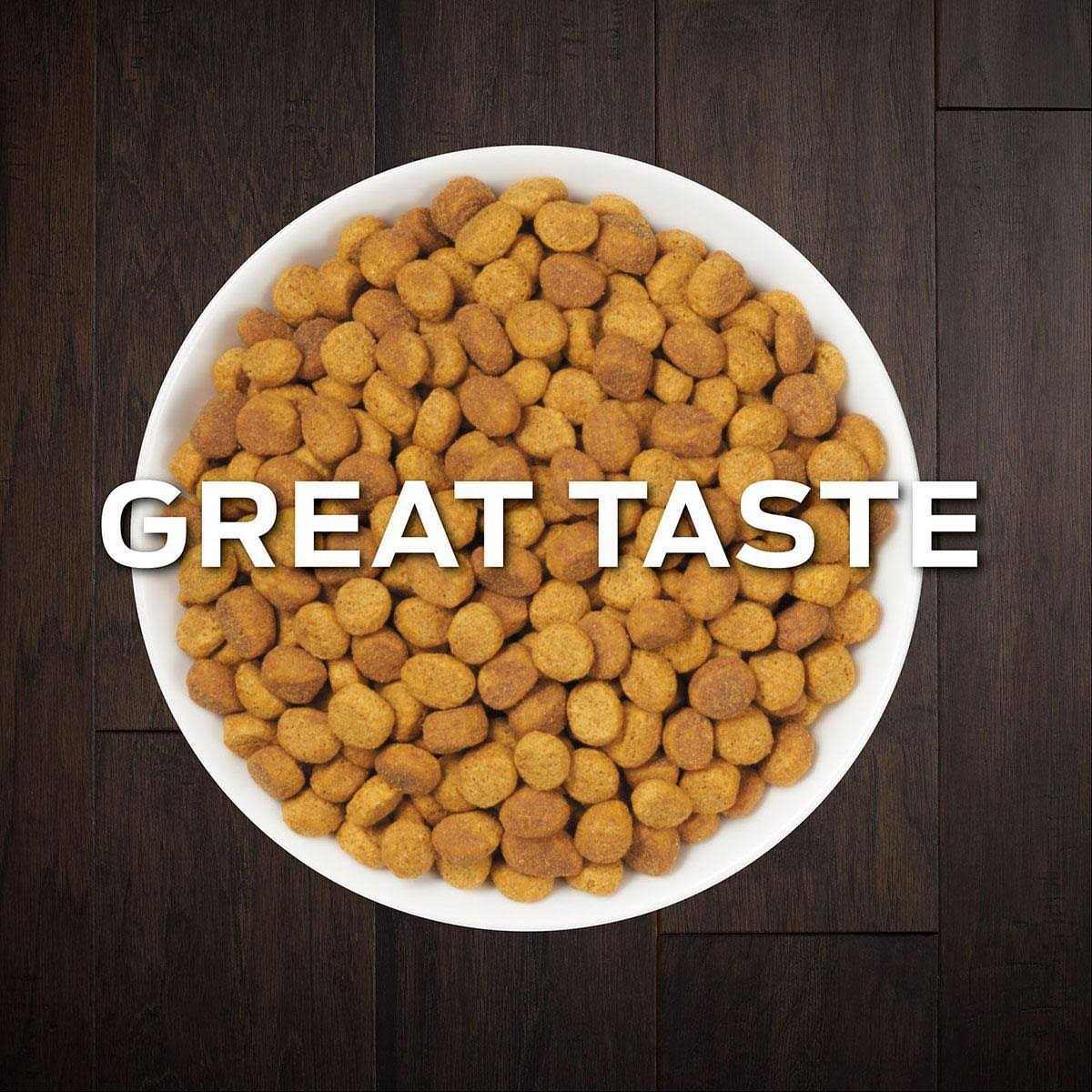 Purina Pro Plan Veterinary Diets OM Overweight Management Formula Dry Cat Food - Pet Supplies online store