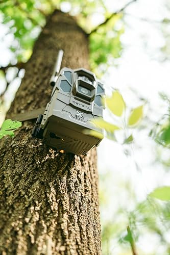 Tactacam REVEAL X Gen 3.0 Cellular Trail Camera - Multi Carrier, HD Photos & Videos, Pre-Installed Antenna, Built-in GPS, Best Battery Life, Low-Glow IR Flash, Fast Trigger Speed + 32GB SD Card (1 PK)